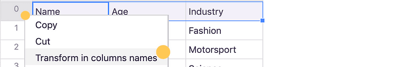 Right-clicking the first row header to transform it into column names